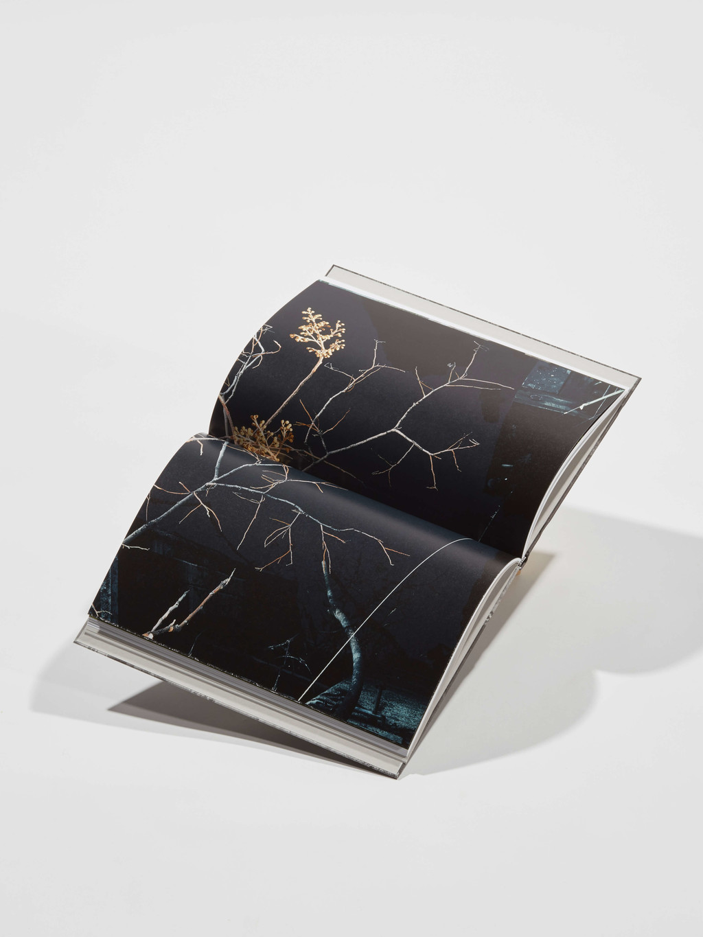 WINNERS - © © Etienne Malapert/BAK, Swiss Design Awards Blog