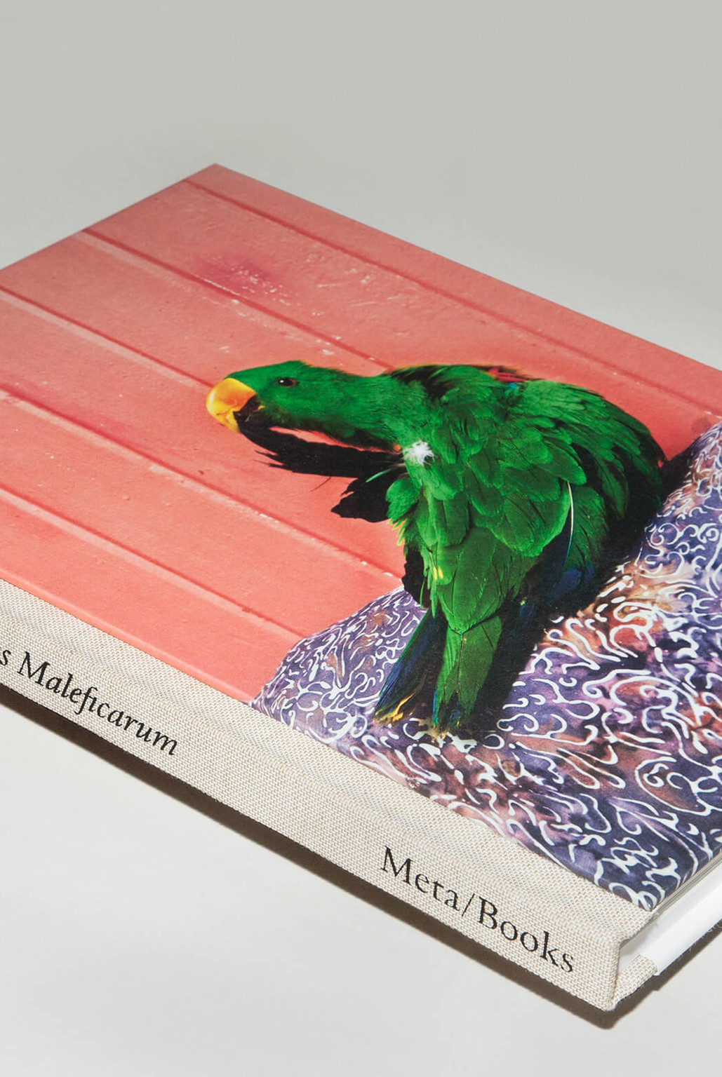 “Malleus Maleficarum”, Meta/Books - © © Virginie Rebetez, Swiss Design Awards Blog