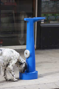 “The Drinking Hydrant” - © photo: Dimitro Nassisi, Swiss Design Awards Blog